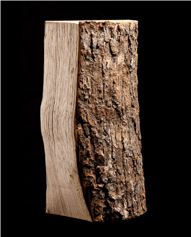 40 sacs de bois sec – 100 % frêne – 8 kg