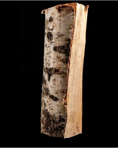 15 sacs de bois de bouleau 100 % sec de 8 kg – 25 cm