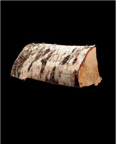 15 sacs de bois de bouleau 100 % sec de 8 kg – 25 cm